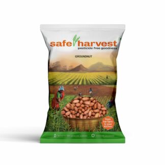 Groundnut